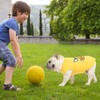 KOOLTAIL Dog Shirt, Funny Summer Dog Clothes Yellow Duck Costume