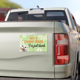 SODAVA [7.5"x4.5"] Not A Student Driver I'm Just Dumb Magnet, Funny Bumper Magnet Gen Z Cat Car Magnet Truck Fridge Magnetic Stickers Decal Bumper Magnet, Birthday Gift for Her Him
