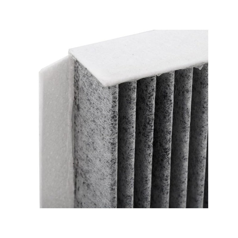 Ridex 424I0054 Interior Air Filter