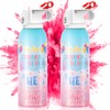 Reveal Fire Extinguisher Set -Gender Reveal Color Smoke Powder Spray