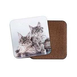 1 x Cute Maine Coon Kitten Cat Coaster - Feline Animals Pets Mum Aunt #15729