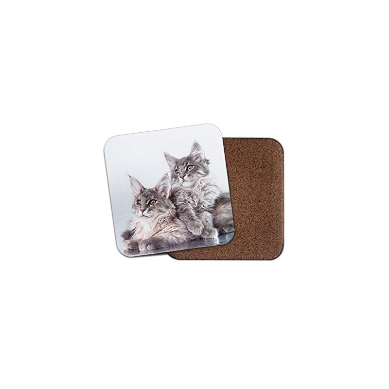 1 x Cute Maine Coon Kitten Cat Coaster - Feline