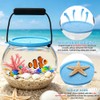 Novique Beach Aquarium Kit Clear Portable Plastic Fish Tank Catch