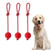 Taicols Pack of 3 Elastic Dog Toy Ball with Rope,