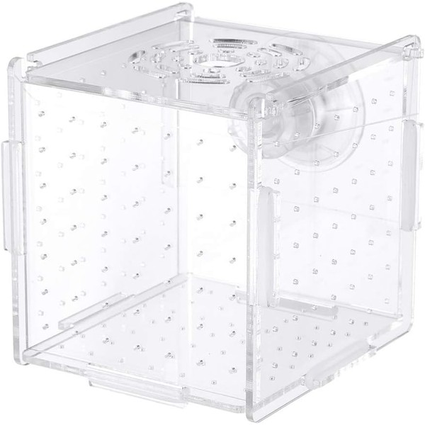 Acrylic Fish breeding Box,Fish Breeding Box,Acrylic Fish Isolation Box Hatchery