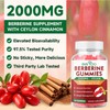 BVIVLOO Premium Berberine Gummies, 2000mg High Potency Berberine HCI Supplement,