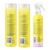 Marc Anthony 3 Pack Strictly Curls Sh, Ac & Defrizz