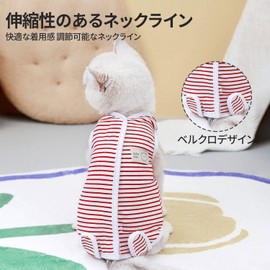 Cat Postoperative Clothes, For Cats, Pet Post-surgery Clothes, Cat Postpartum Clothes, Surgery Wear, Prevents Licking, Striped Cat Castration Clothes, Skin Protection, Surgery, Boys and Girls (Red,