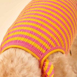 FURTiZEN Stripe Ruffle Tank for Dogs - Striped Dog Tank Top with Ruffle Sleeves (Yellow/Pink, Medium)