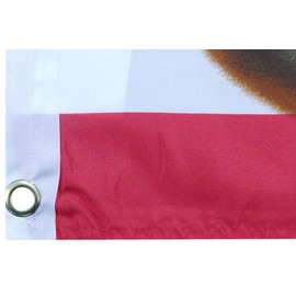 Trade Winds USA Captain Moroni In Memory Of Our God... Premium Quality Heavy Duty Fade Resistant 3x5 3'x5' 100D Woven Poly Nylon Flag Grommets