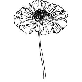 Azeeda 'Ringelblume, Prachtblume ' Unmontierter Gummistempel - für Basteln, Scrapbooking und Kartengestaltung - Größe A7 (RS00056973)