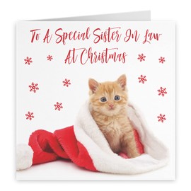 Hunts England - Sister In Law Christmas Card - To A Special Sister In Law At Christmas - Kitten Collection