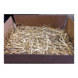 The Kitty Tube Wisconsin Grown Oat Straw