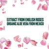 THE BODY SHOP - British Rose - Gift Box 4