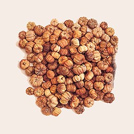 Worth Imports Natural Miniature Pumpkin 3/4 in, Box of 2 LBS, 1LB Equals to 16 Cups Putka Pod, Small, Biege