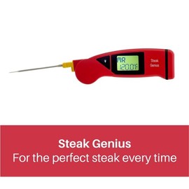 Cooper-Atkins 94100-01 Steak Genius Folding Thermocouple, Type-K
