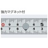 Niigata Seiki SK MT-30CMGKD Silver Carpenter Fast Scale Thick Wide