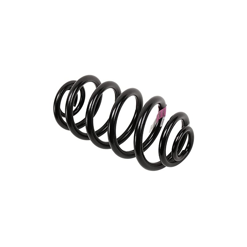 GM Genuine Parts 13312084 Rear Coil Spring , Black