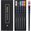 HuaLan Fiberglass Chopsticks Series - Japanese Non-Slip Chopstick, Reusable Dishwasher