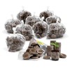Jiffy 1000 Count- Jiffy 36 MM Peat Soil Pellets Seeds