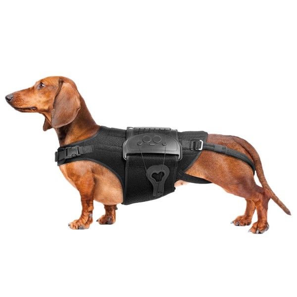 Dog Back Brace for IVDD, Arthritis, Slipped and Herniated Discs
