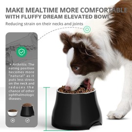 Fluffydream Elevated Dog Bowls,[Prevention of Vertebrae Disease] Non-Slip Dog Bowl with Stainless Steel Bowl,High Capacity Dog Food Bowls (DarkBlack 2 Packs, M (540ML / 2 Cups))