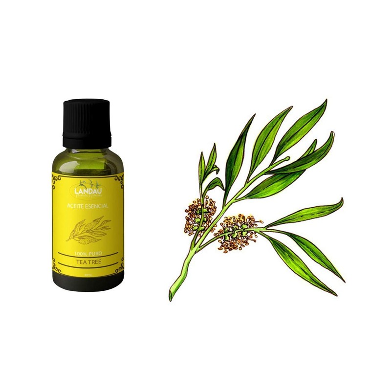 ACEITE ESENCIAL DE TEA TREE 30 ML