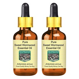 Devprayag Pure Sweet Wormwood Essential Oil (Artemisia annua) with Glass Dropper Natural Therapeutic Grade Steam Distilled (Pack of Two) 100ml X 2 (6.76 oz)