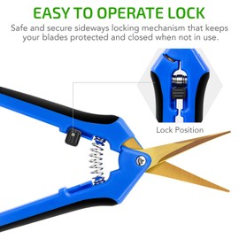 iPower GLPRNR6BLTIX2 2-Pack 6.5” Gardening Hand Pruner Shears with Titanium Coated Curved Precision Blades for Trimming House Plants, Blue