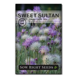Sow Right Seeds - Imperialis Mix Sweet Sultan (Amberboa moschata) Seeds for Planting - Beautiful Flowers to Plant in Your Garden - Non-GMO Heirloom Packet - Old-Fashioned Favorite - Pom Pom Blooms