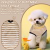 Post-Surgery Recovery Bodysuit - Leak-proof Protective Suit for Dogs, Breathable,