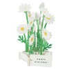 GreetingLife Birthday Blooming Card Margaret KE-32
