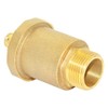 Beduan Brass 10500-VE Automatic Float Valve, 1" Male Thread Air