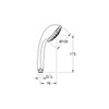 Grohe Relexa Five 28796 Showerhead