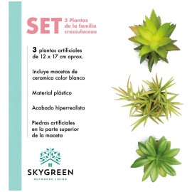 Paquete De 3 Plantas Pequeñas Artificiales Decoracion Hogar Color Verde