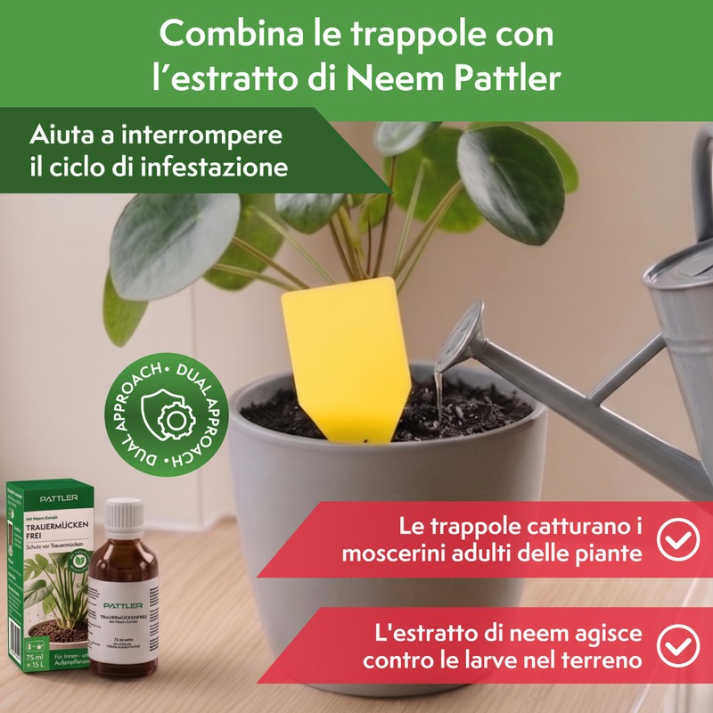 Pattler Trappola Moscerini per Piante da Interno – 30 Pezzi.
