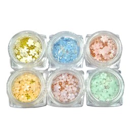 Mirhua Nail Parts, Nail Design, 3D 3D, Flower Accessories, Resin, Nail Art, Handmade Set, Nail Parts, Flowers (6 Pieces, 6 Colors Flowers)