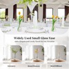 Clear Flower Vases for Centerpieces: Glasseam Modern Glass Vase Set