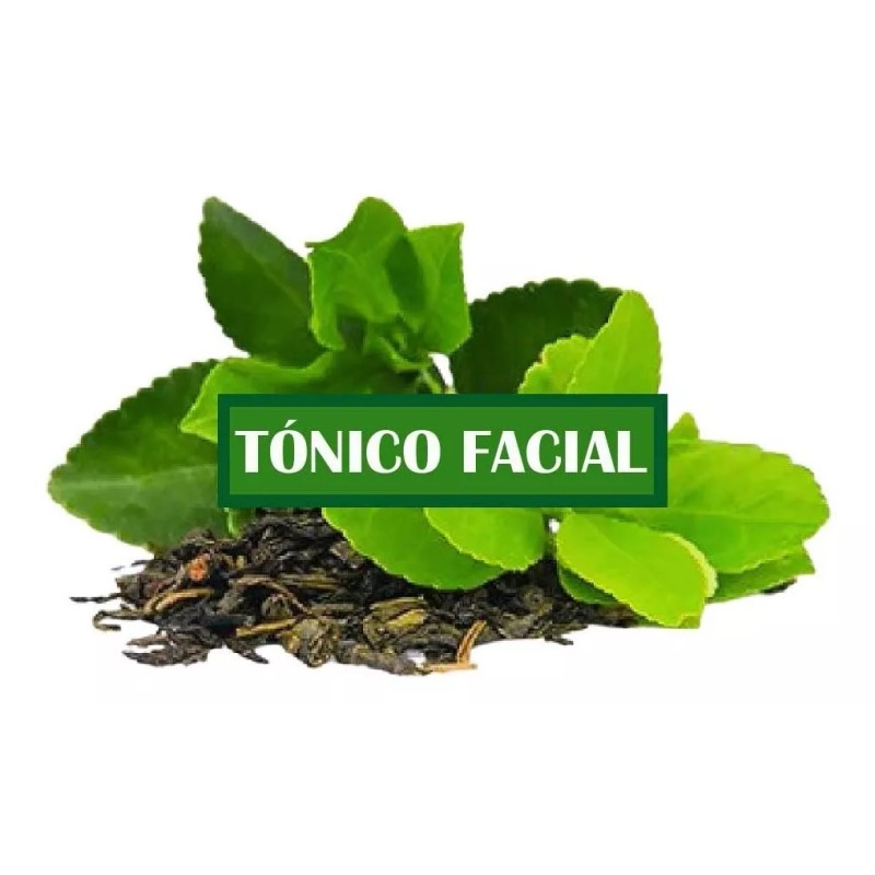 Productos Mart Mexico Tónico Facial De Té Verde (5 Litros)
