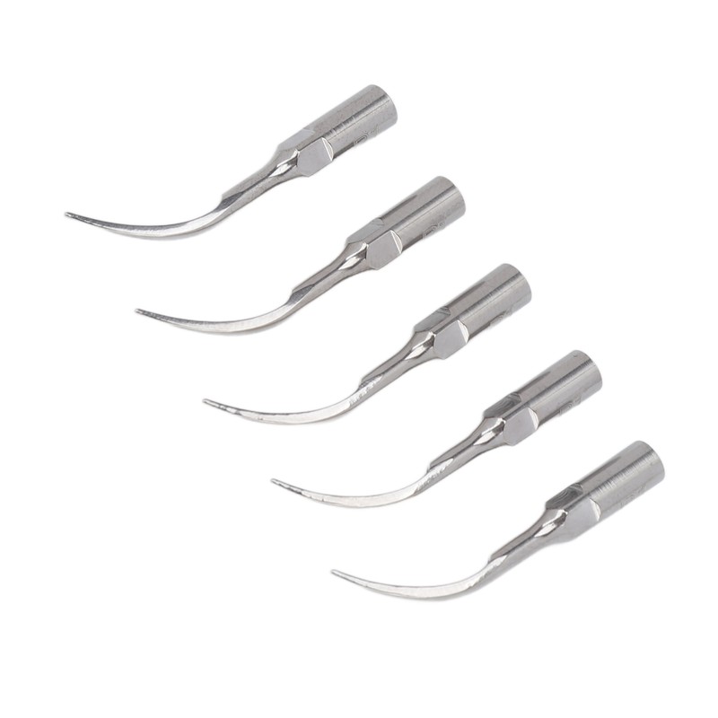 5pcs P1 Dental Clean Machine Tip Stainless Steel Heat Resistance