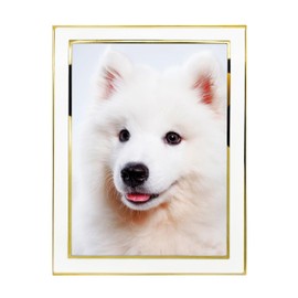 DECANIT 8x10 Picture Frames White Metal Photo Frames For Tabletop Display and Wall Decoration-Best Gifts For Family