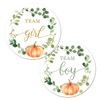 Greenery Pumpkin Gender Reveal Stickers - 40 Labels (20 of