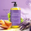 Lavender Massage Oil | 8 fl oz