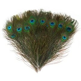 MWOOT Naturlice Peacock Feathers for Crafts, Peacock Tail Feathers for Crafts Embellishments, Craft Feather Decoration for Ceremony, Seasonal Decoration, Party Masks, DIY Material Accessories, 25-30