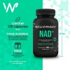 Nad+ Resveratrol Coq10 B3 Arándano | Mejora Memoria, Energía y