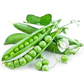 Green Arrow Peas Heirloom Seeds - Non GMO - Neonicotinoid-Free