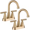 Cobbe Bathroom Faucets for Sink 3 Hole, 4 Inch with