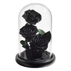 AINYROSE Anniversary Birthday Gifts for Women Rose Flower Gifts for Christmas,Preserved Rose Birthday Gifts for Women Grandma Mom, Mother Day Mom Gifts from Daughter Son (Black)