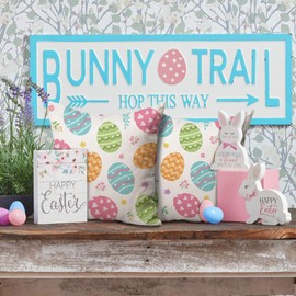 DFXSZ Easter Pillow Covers 20x20 Set of 2 Easter Colorful Egg Decor for Throw Pillows Covers Spring Farmhouse Pillow Covers Decor Couch Living Room 83A