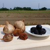 Hakkoda Shizuku, Aged Black Garlic, Rose from Aomori Prefecture, 17.6